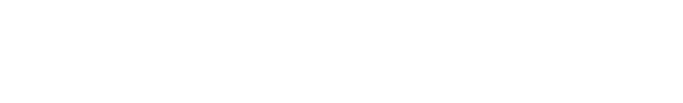 Der Grundsatz meiner Zucht ist, Anatomie und  Leistung im harmonisierenden Gleichgewicht.